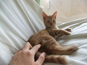 DSCF0218.JPG