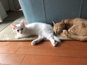 DSCF0290.JPG