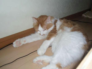 091903.jpg
