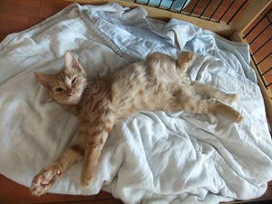 DSCF0307.JPG