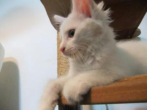 DSCF0228.JPG
