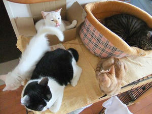 DSCF0244.JPG