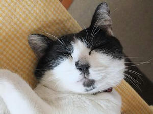 DSCF0090.JPG