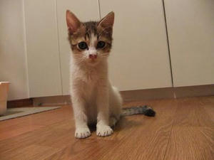 DSCF0348.JPG