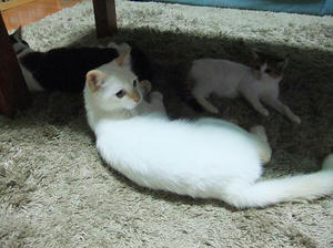 DSCF0435.JPG