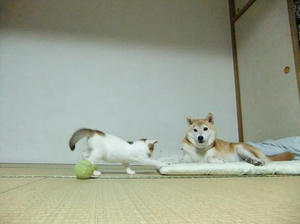 DSCF0429.JPG