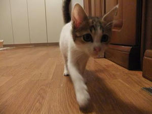 DSCF0354.JPG