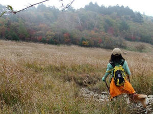 DSCF0548.JPG