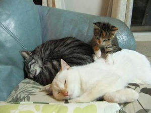 DSCF0565.JPG