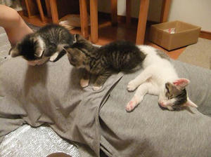 DSCF0787.JPG