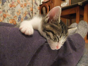 DSCF0833.JPG