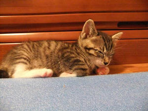 DSCF0915.JPG