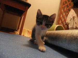 DSCF0868.JPG