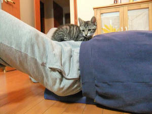 DSCF1075.JPG