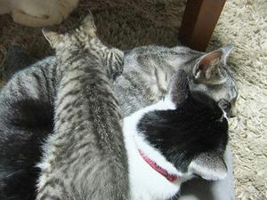 DSCF1129.JPG