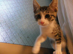 DSCF1193.JPG