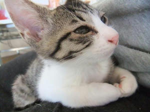 DSCF1307.JPG