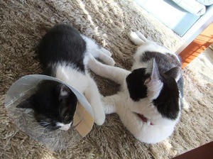 DSCF1379.JPG