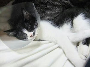 DSCF1407.JPG