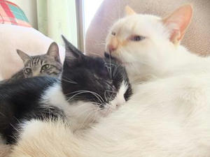 DSCF1559.JPG