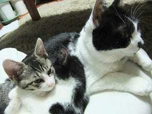 DSCF1551.JPG