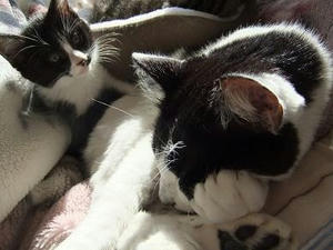 DSCF1339.JPG