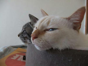 DSCF1485.JPG