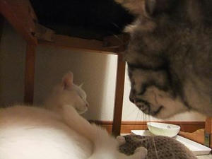 DSCF1608.JPG