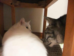 DSCF1607.JPG
