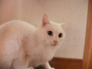 DSCF1605.JPG
