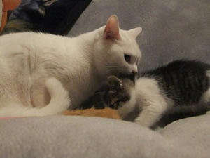 DSCF1657.JPG