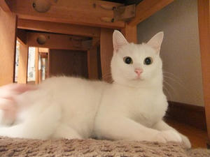 DSCF1610.JPG