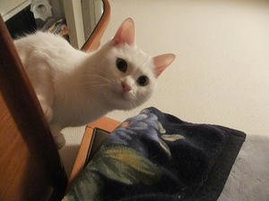 DSCF1653.JPG
