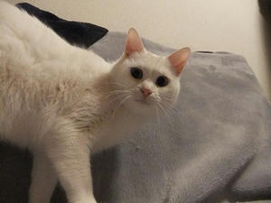 DSCF1651.JPG