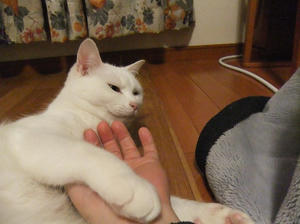 DSCF1710.JPG