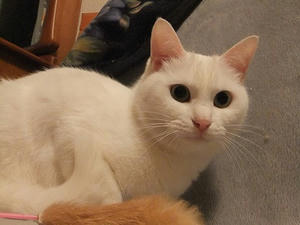 DSCF1656.JPG