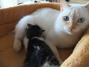 DSCF1779.JPG