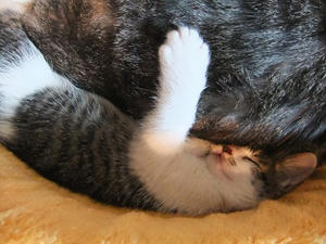 DSCF1745.JPG