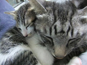DSCF1773.JPG