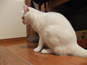 DSCF1681.JPG
