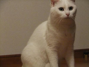 DSCF1727.JPG