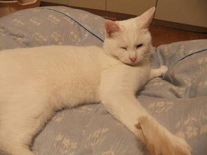 DSCF1815.JPG