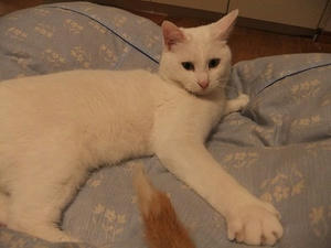 DSCF1814.JPG