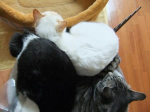 DSCF1743.JPG
