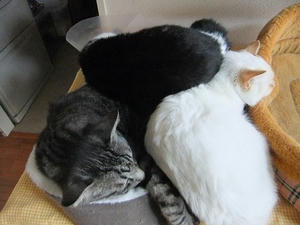 DSCF1740.JPG