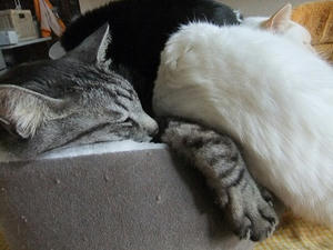DSCF1742.JPG