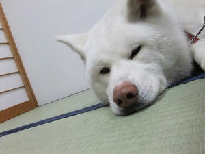 DSCF1859.JPG