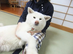 DSCF1856.JPG