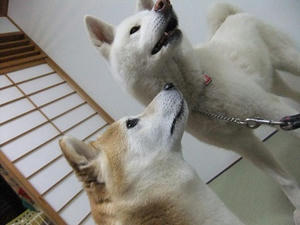 DSCF1860.JPG