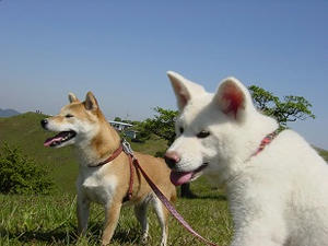 DSC04302.JPG